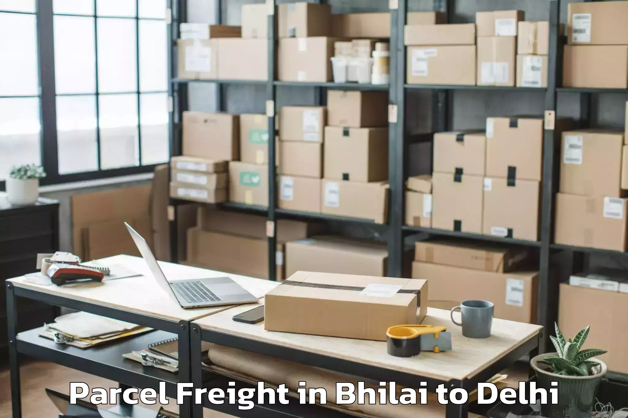 Top Bhilai to Unity One Janakpuri Mall Parcel Freight Available